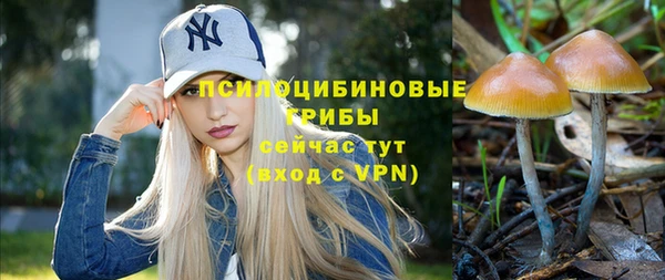a pvp Лиски