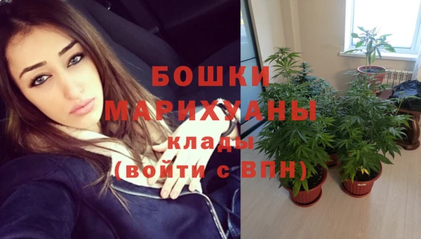 a pvp Лиски